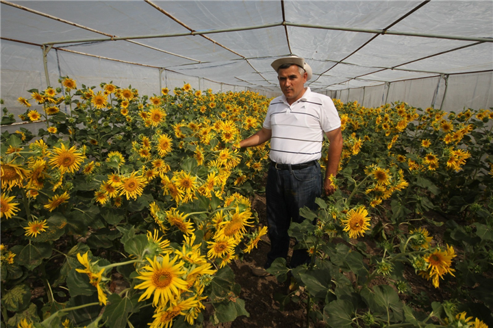Trakya Üniversitesi’ne TÜBİTAK’tan uluslararası proje desteği