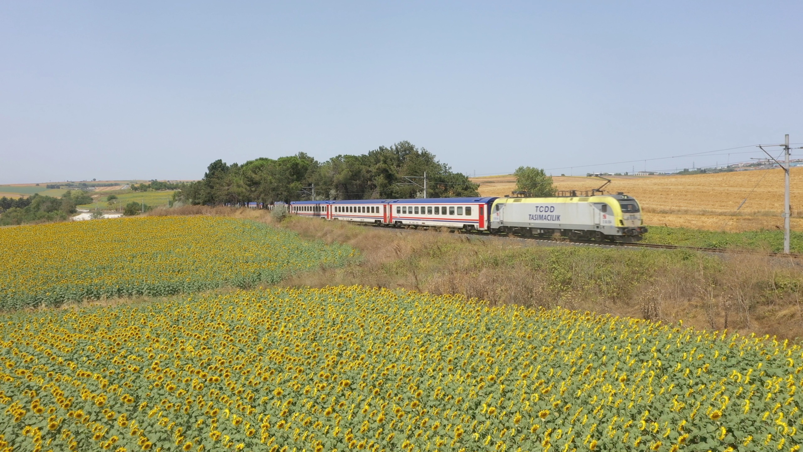 TCDD'den otla mücadele!