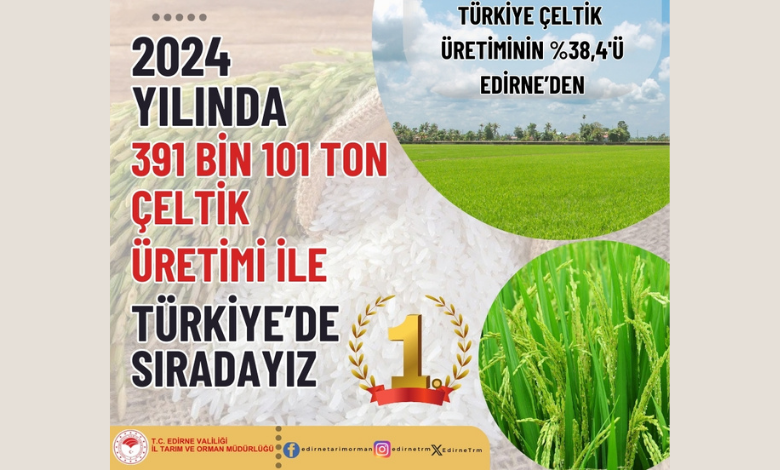 Edirne kurak yılda da 'çeltik' birincisi
