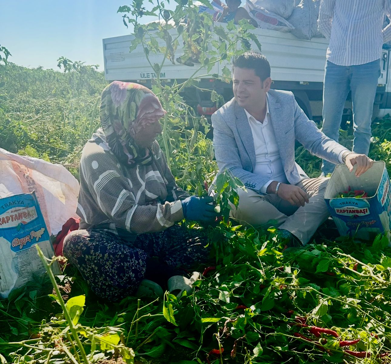 Ilgın; 'Tarla çiftçiyi üzüyor, sofra vatandaşı'