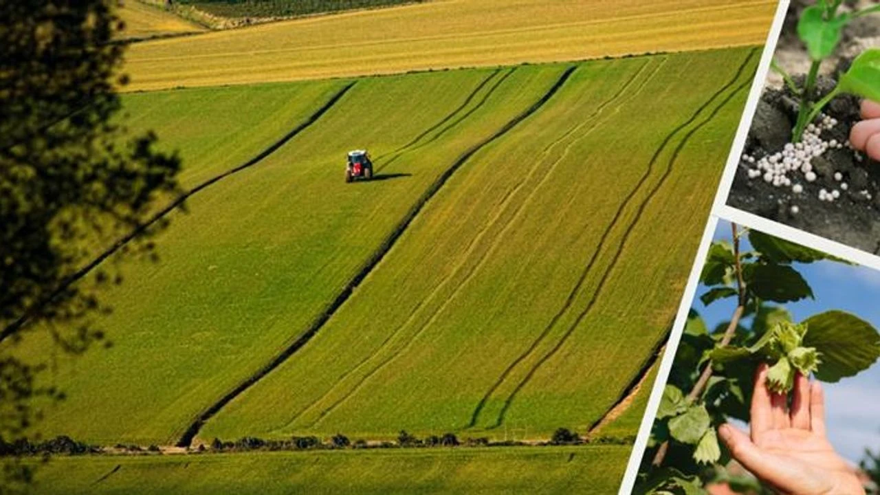 Çiftçilere destekleme ödemeleri sürüyor