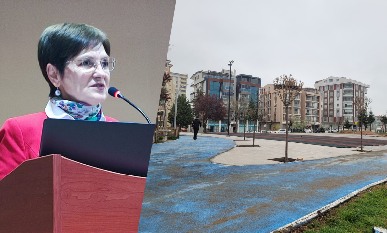 Gölet düzenlemesinde 'betonlaşmaya' sert tepki