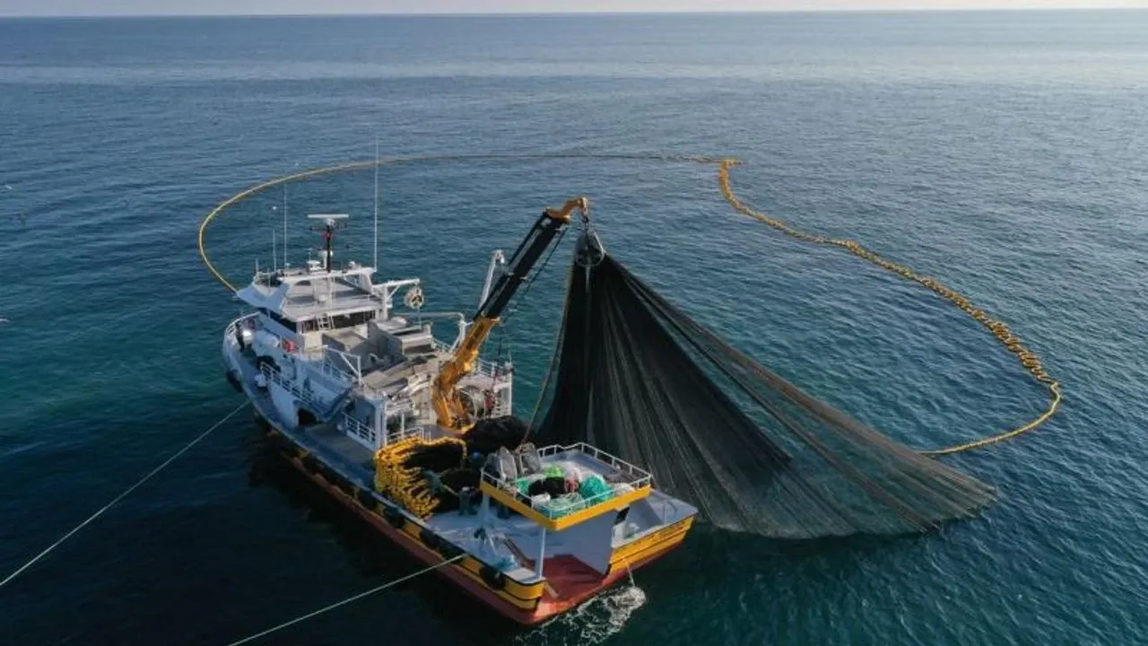 Su ürünleri avcılığında yeni dönem: Kurallar güncellendi