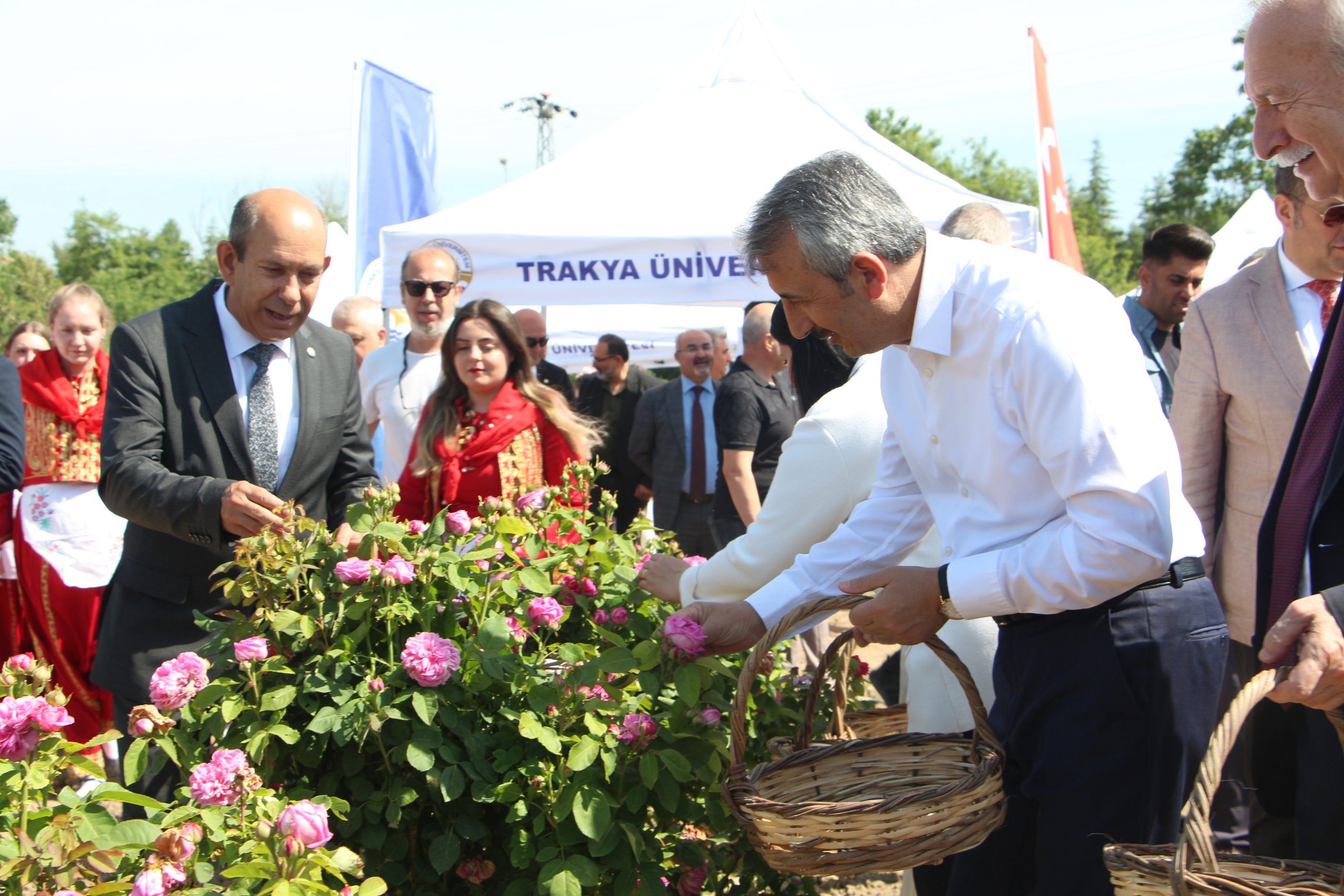 Edirne Gülü’ne coşkulu hasat!