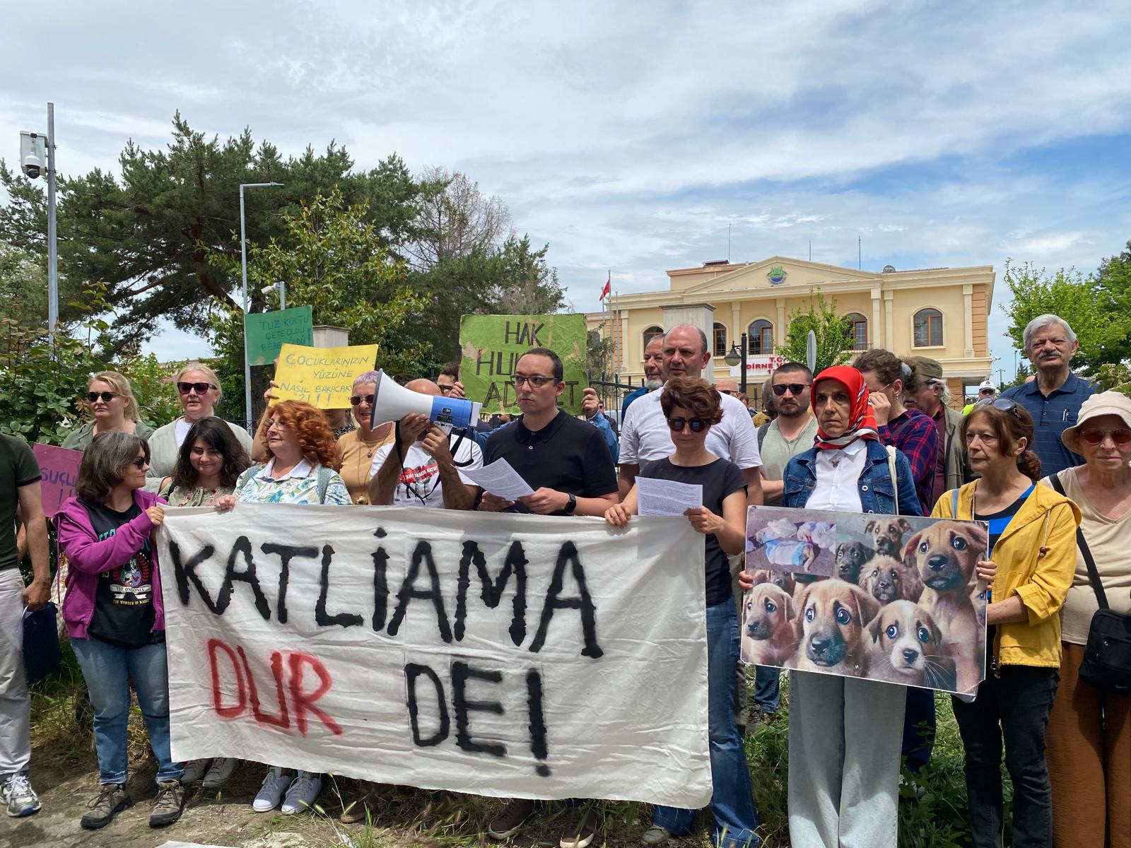 ‘Hayvan toplamaları durdurulmalı’