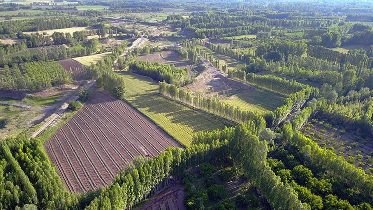 2B arazilerinde mülkiyet hakkı ve tapu süreci başladı