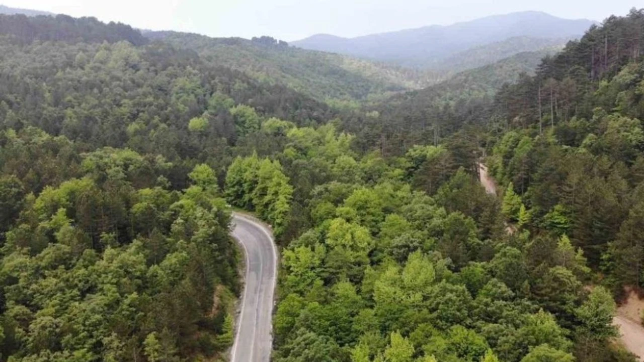 Çanakkale'de ormanlık alanlara giriş yasağı