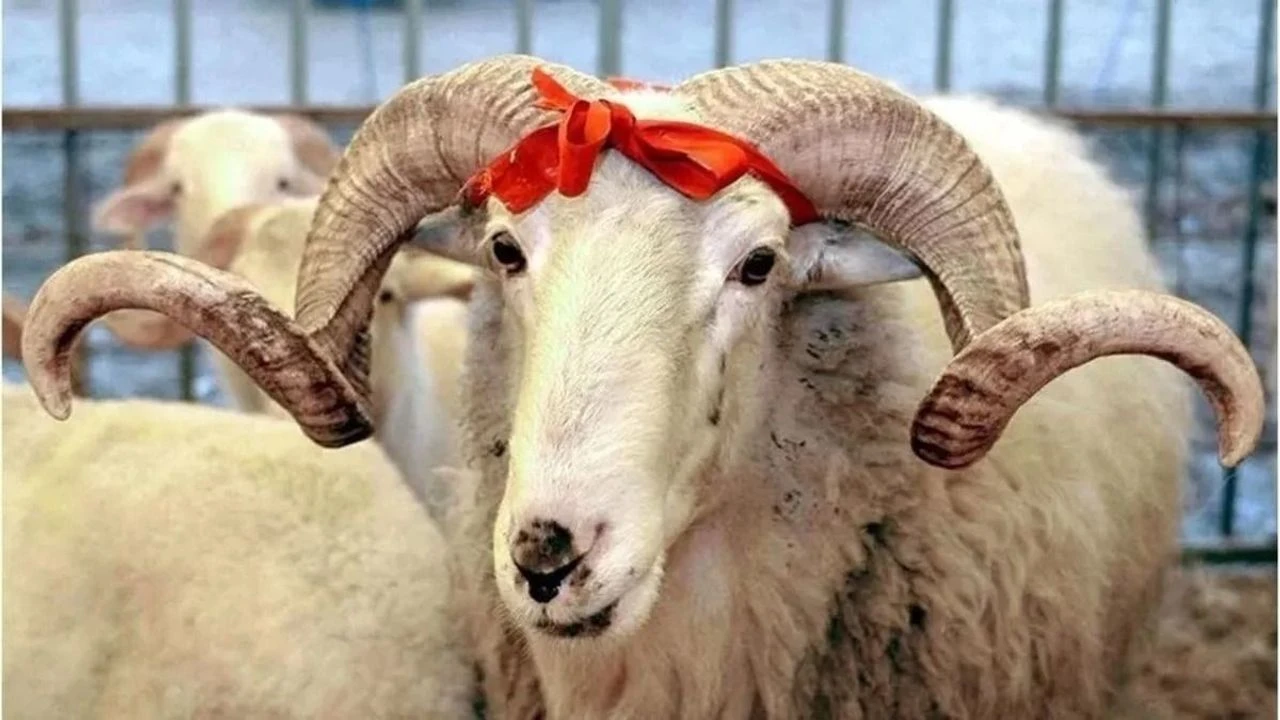 Kamuda mesai 10 Haziran’da başlayacak