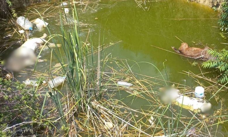 Keşan’da dehşet verici olay
