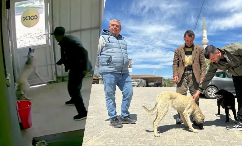 Köy kahvesinde köpeğe zulüm!