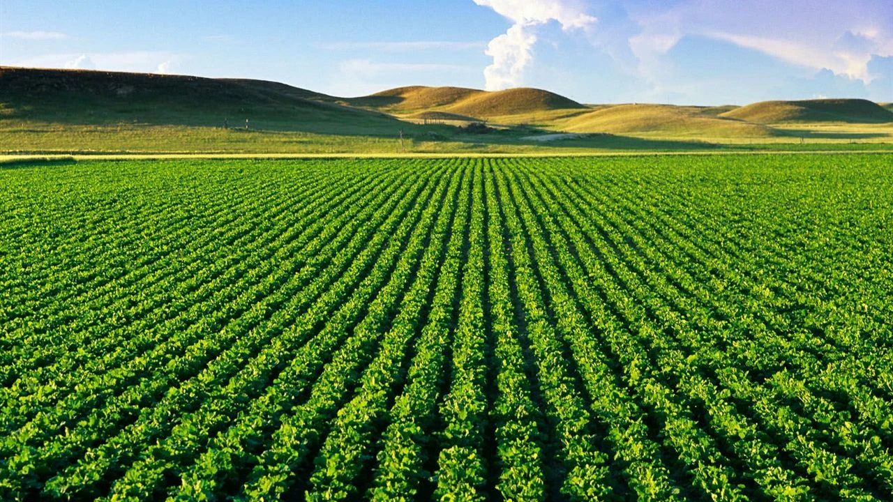 Tarımda gençlere destek artacak