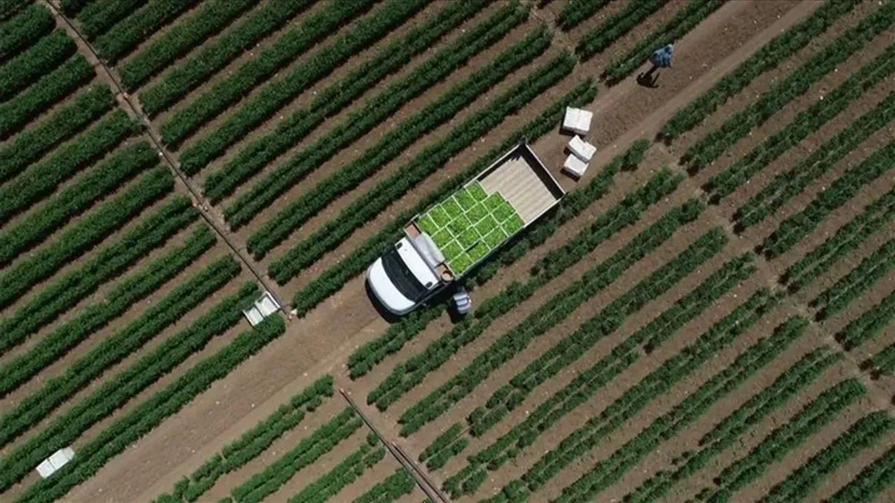 Tarım-GFE martta yükseldi