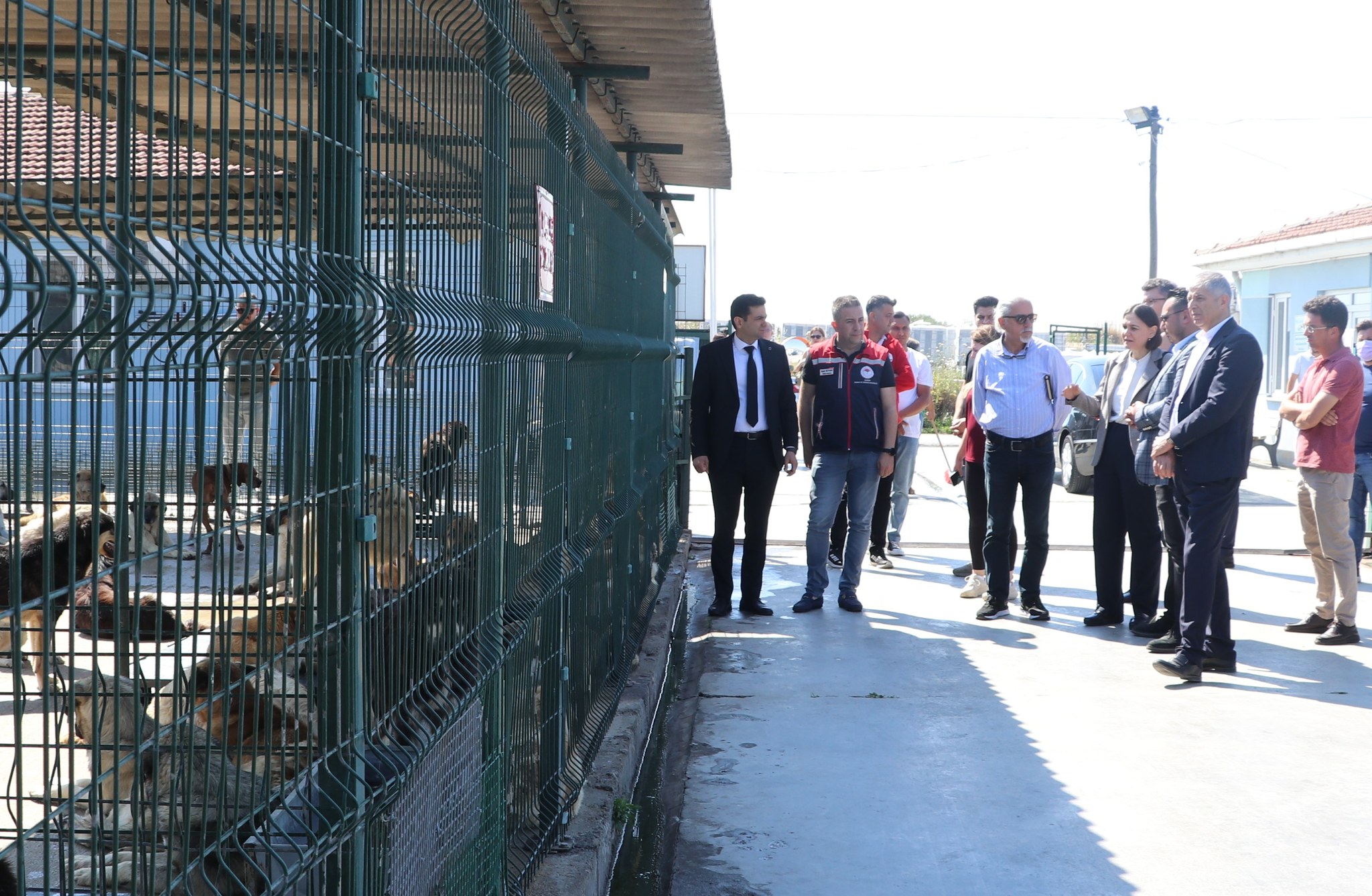 Hayvan bakım evlerine yakın mercek