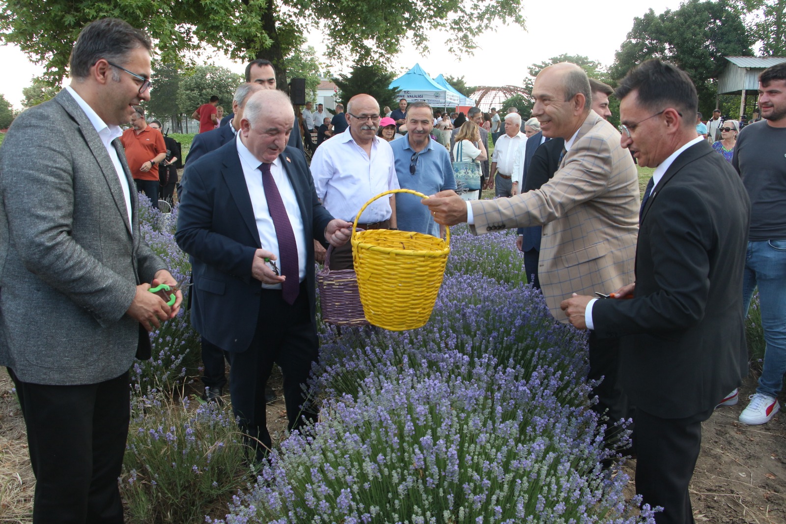 Edirne’de ‘lavanta’ zamanı