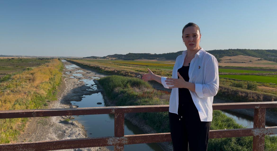 'Edirne tarımı susuz kalırsa, Türkiye pirinçsiz kalır'