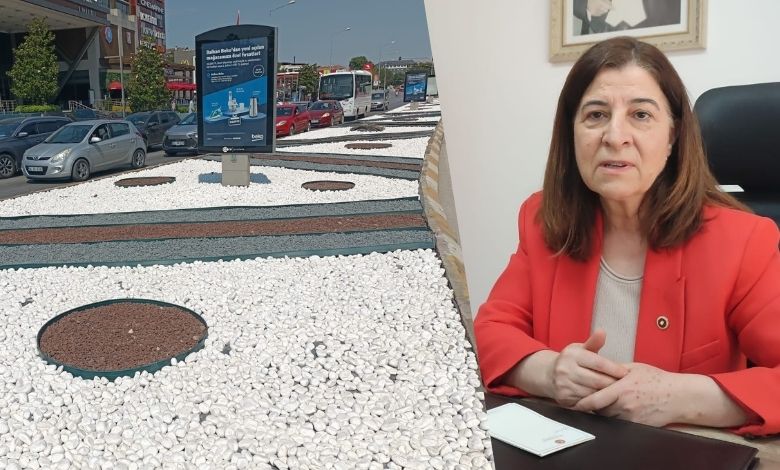 Aksal’dan ‘kurakçıl peyzaj’ yorumu