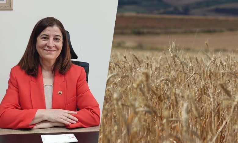 'Kuraklık dolayısıyla üretim şekli değişmeli'