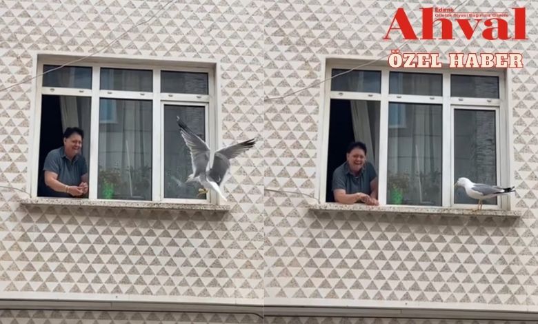 Cama değen gagada sevgi var