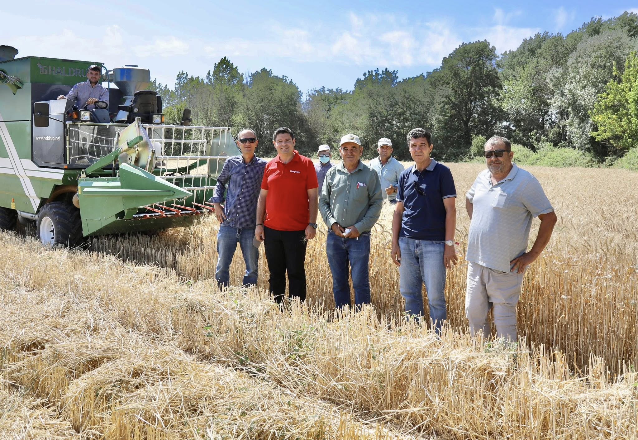 Belediye tarlasında yılın kazananı arpa