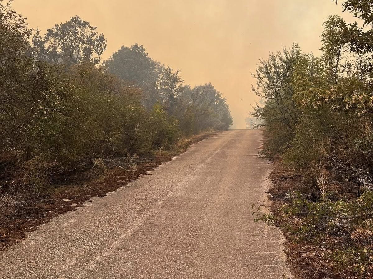 Bulgaristan sınırındaki yangın kontrol altında