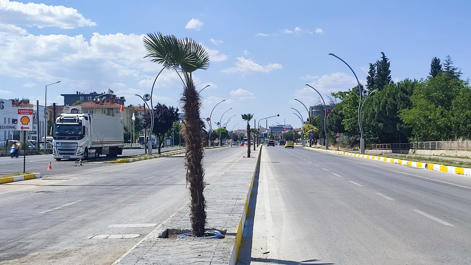 Atatürk Bulvarı'na 'palmiye' peyzajı