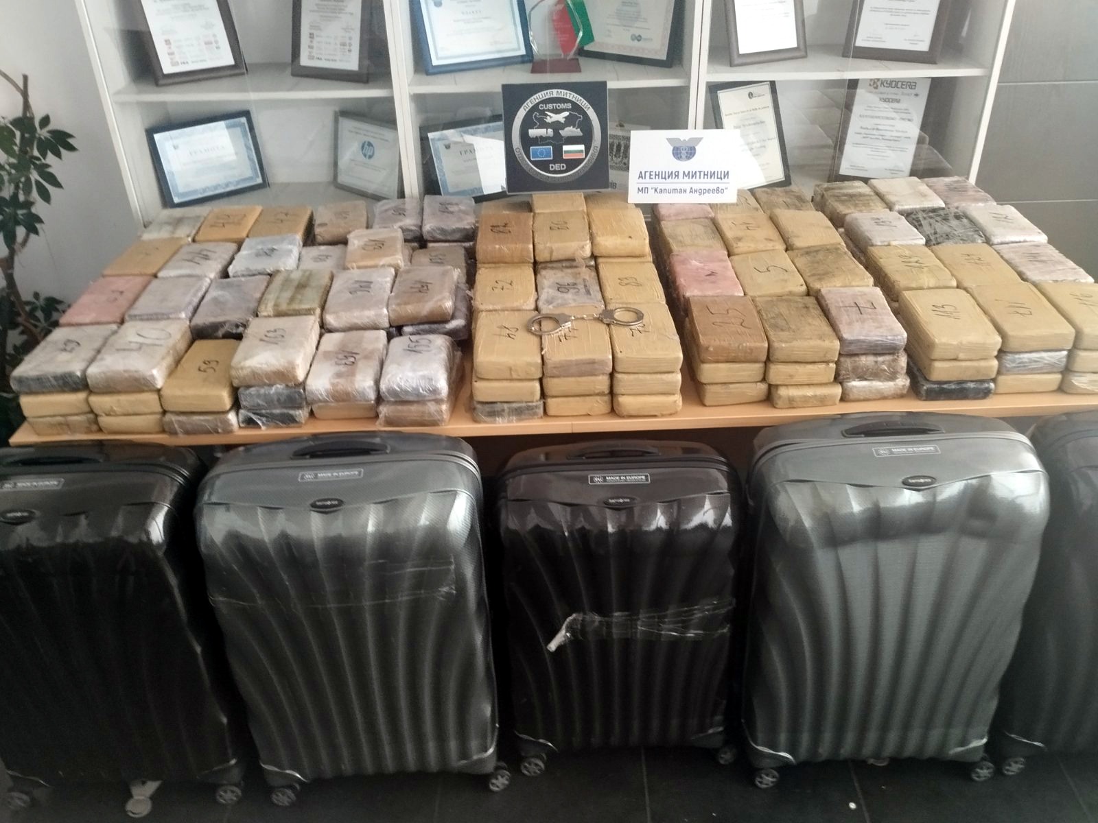 Diplomatik plakalı araçta kilo kilo uyuşturucu!