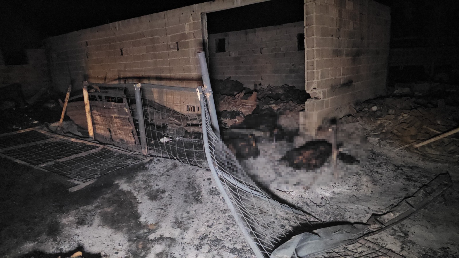 Çıkan yangında hayvanlar telef oldu