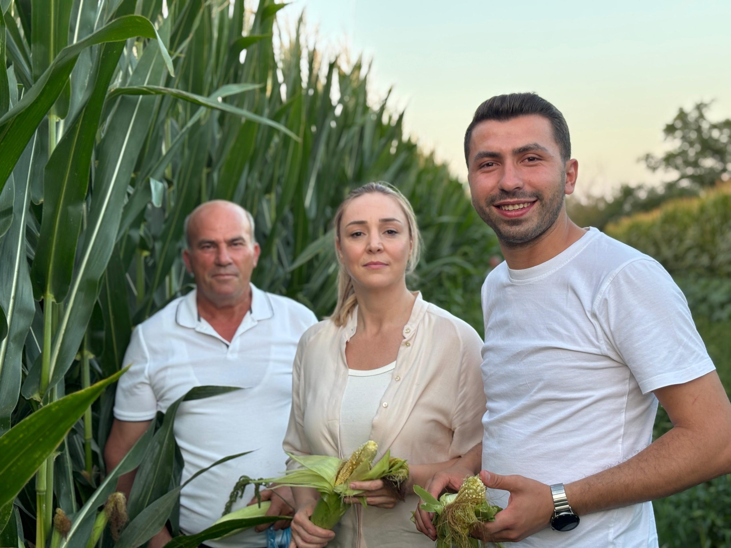 Taybıllı; 'Mısır üreticisi çıkmazda'