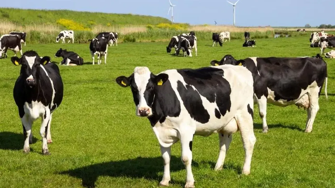 Ülke genelinde aşılama seferberliği
