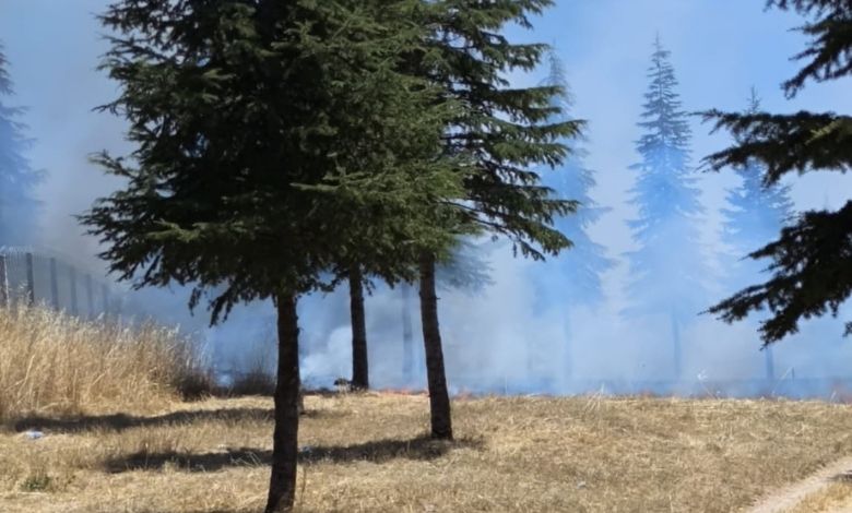 Gölet parkında korkutan yangın