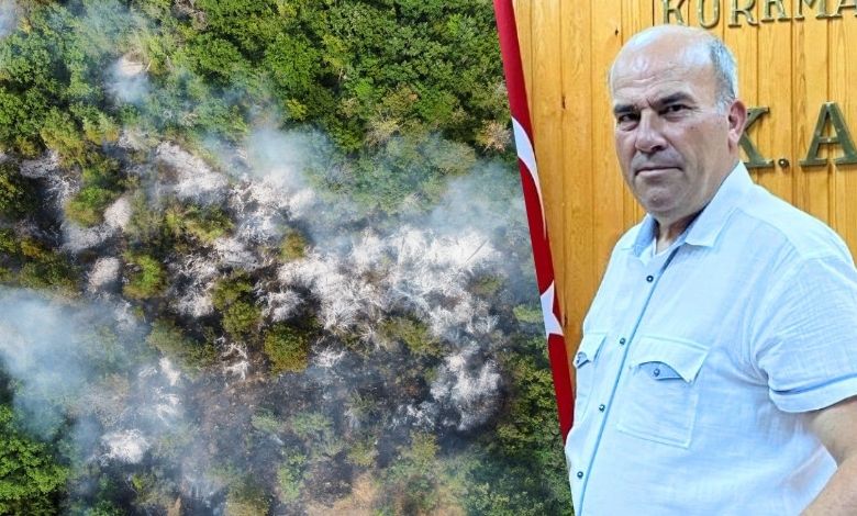 Aslan; 'Yanan ormanların sigortası yok'