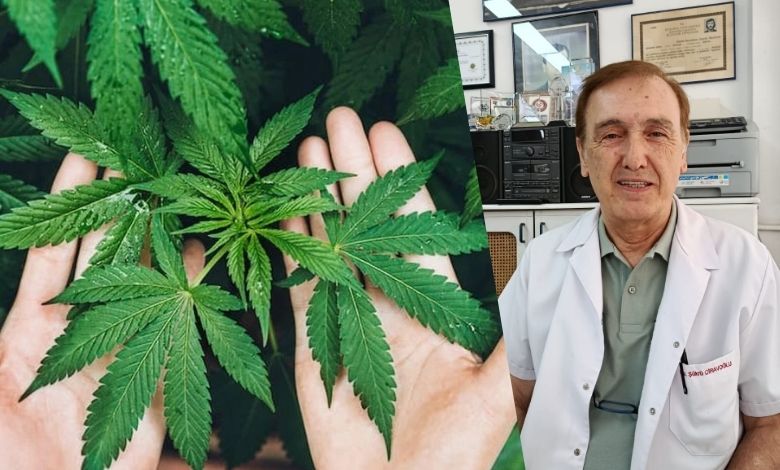 Tıbbi kenevir yasal zeminde!