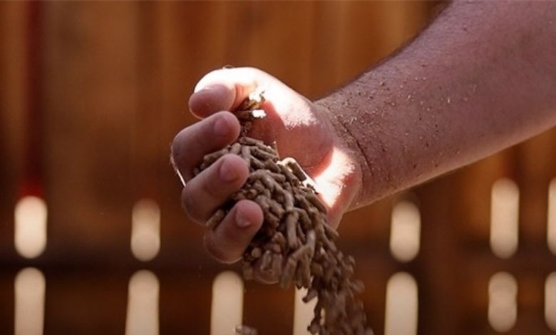 Tekirdağ Büyükşehir Belediyesi'nden 2 milyon kilo yem desteği!