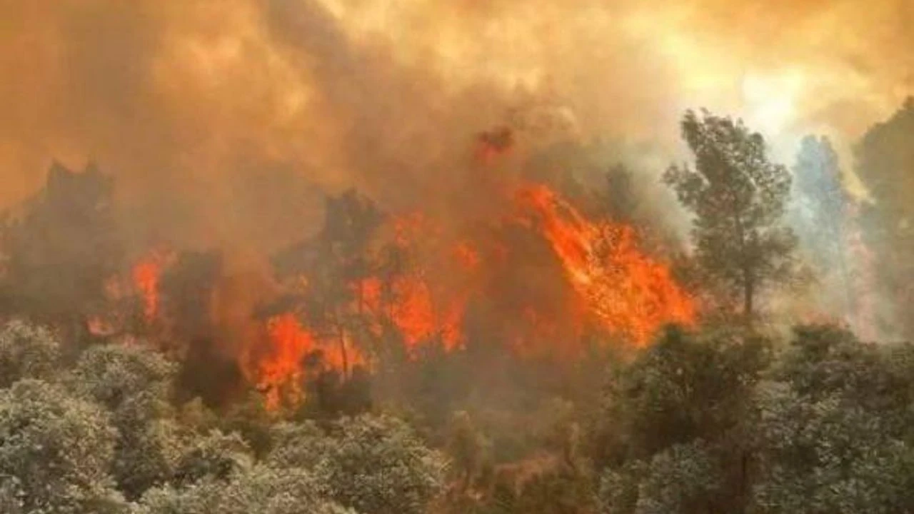 Yangınlarla ilgili 17 kişi tutuklu