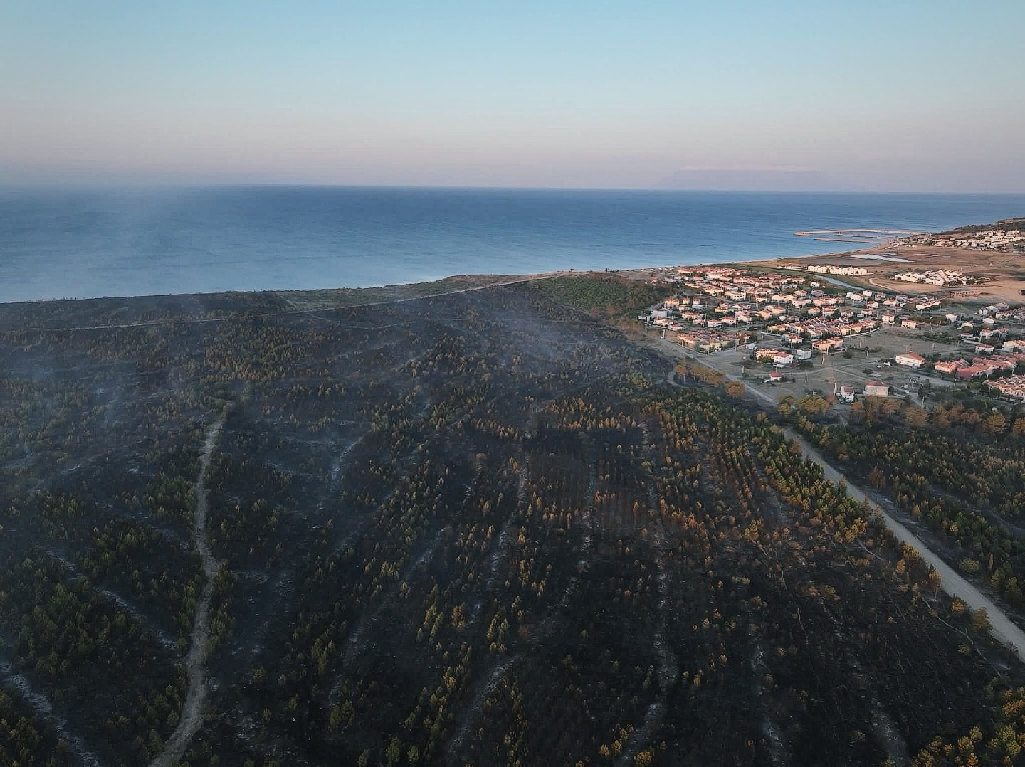 Enez yangınında 43 kurum ve kuruluş mücadele verdi