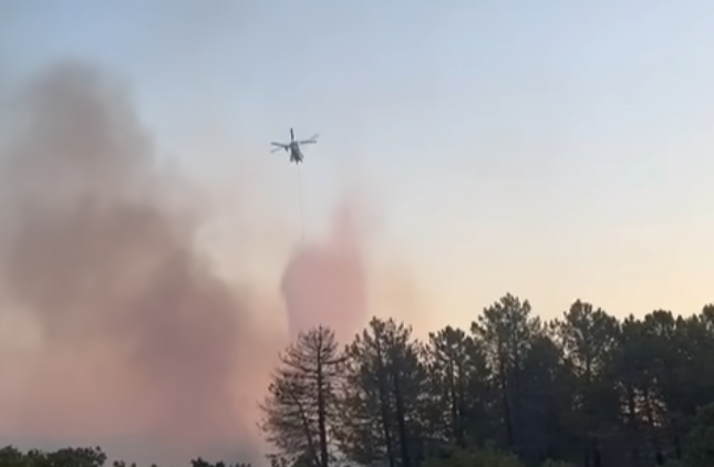 Enez'deki yangına havadan müdahale başladı
