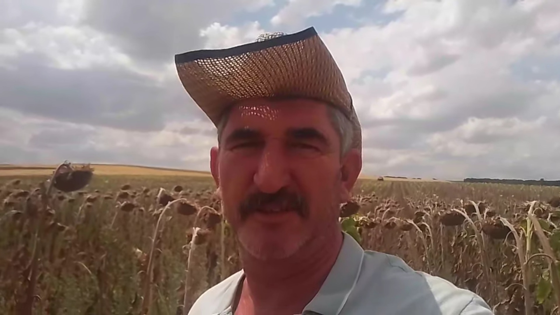 Sarı tarlalardan kara haber!