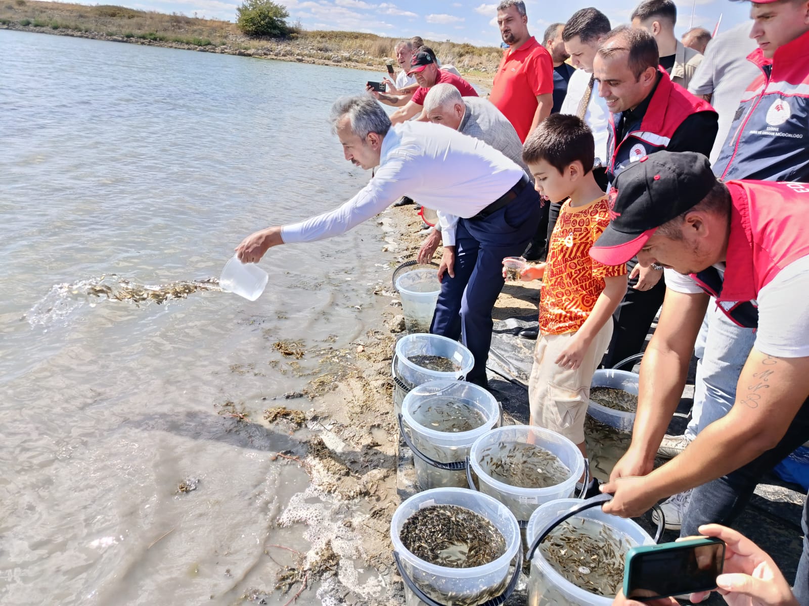 Edirne'nin göletlerine 'yavru sazan' hareketi