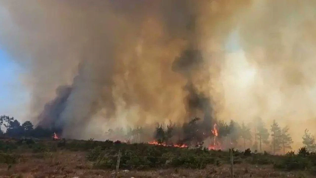 Çanakkale'de bir yangın daha!