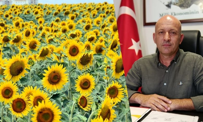 Ayçiçeği fiyatına 'revize' talebi