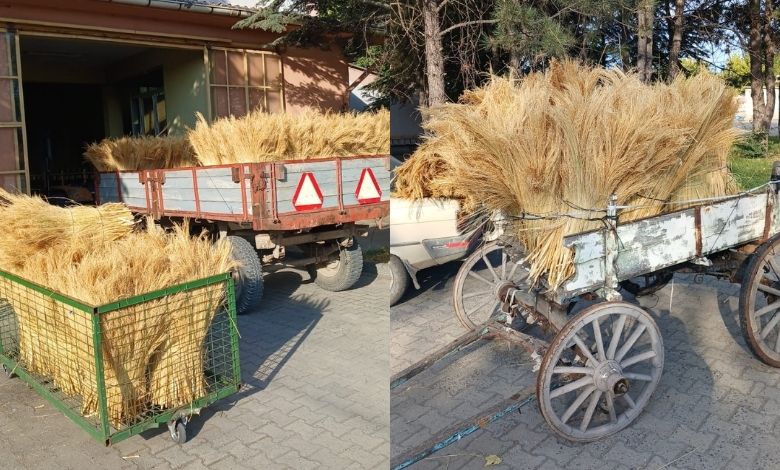 Yeni Mahsul 'süpürge teli' Borsa'da