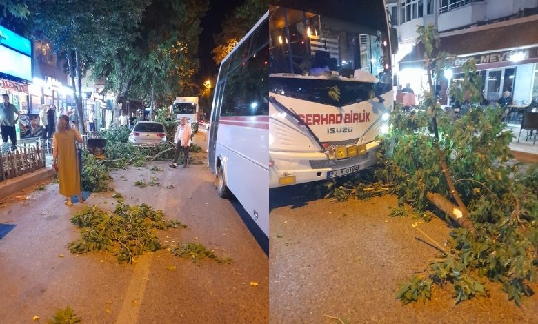 Ağaç dalı caddeye düştü, faciadan dönüldü