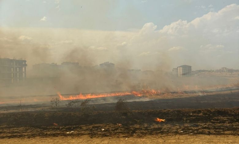 Keşan'da orman yangını kontrol altında!