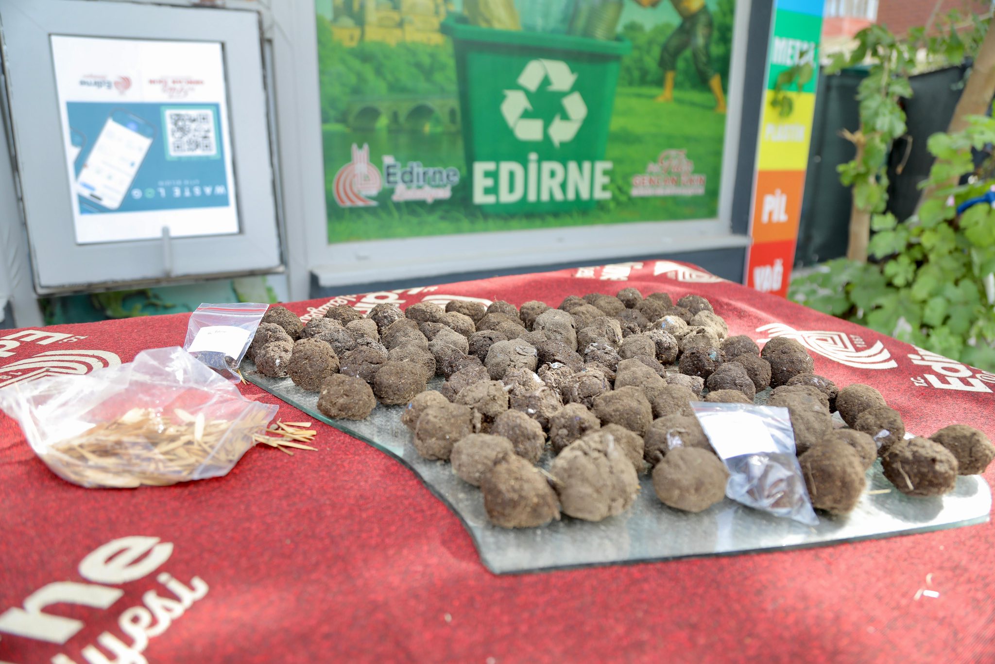 Belediyeden doğaya 22 bin ağaç tohumu