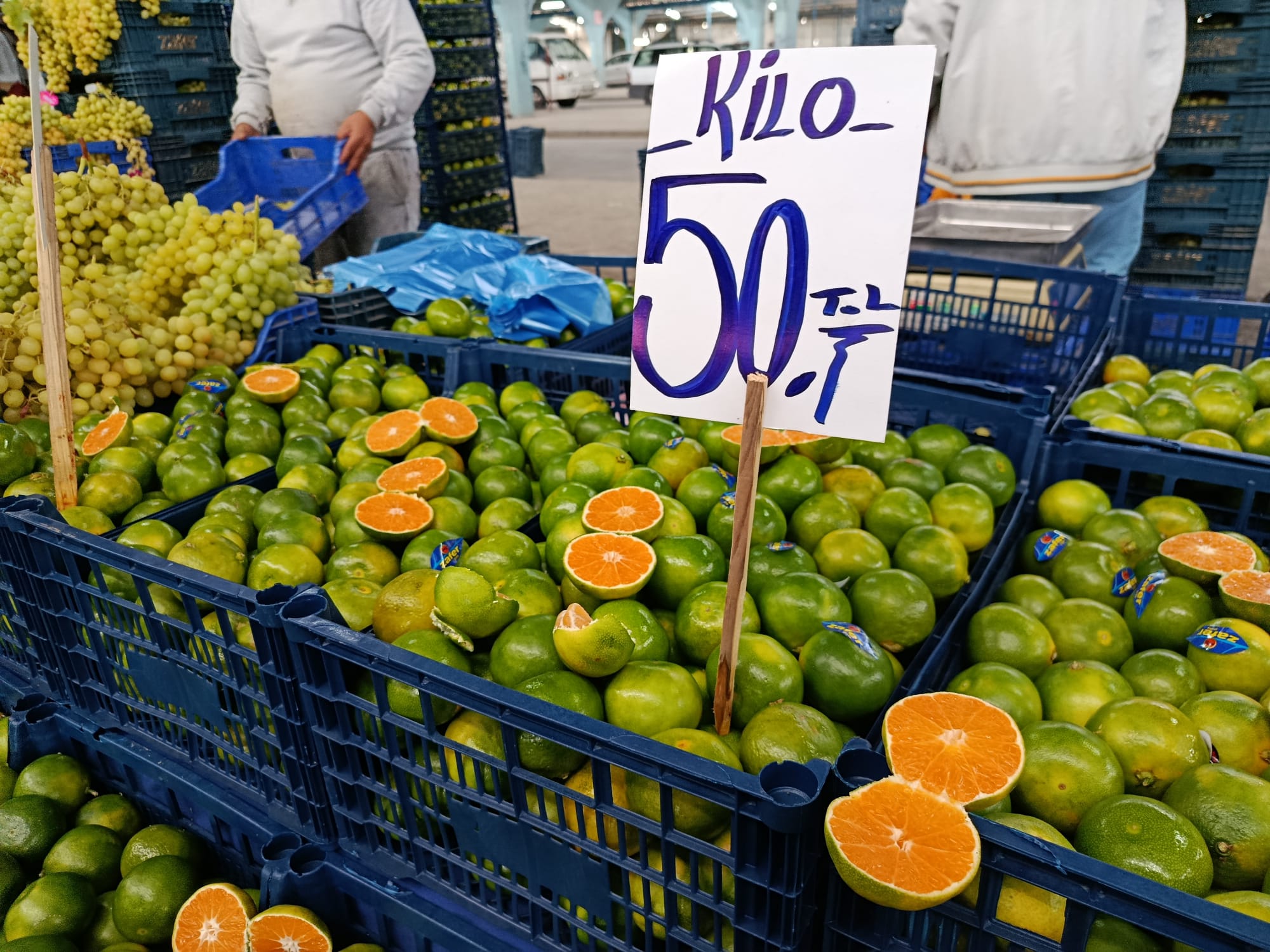 Mandalinalar tezgahta!