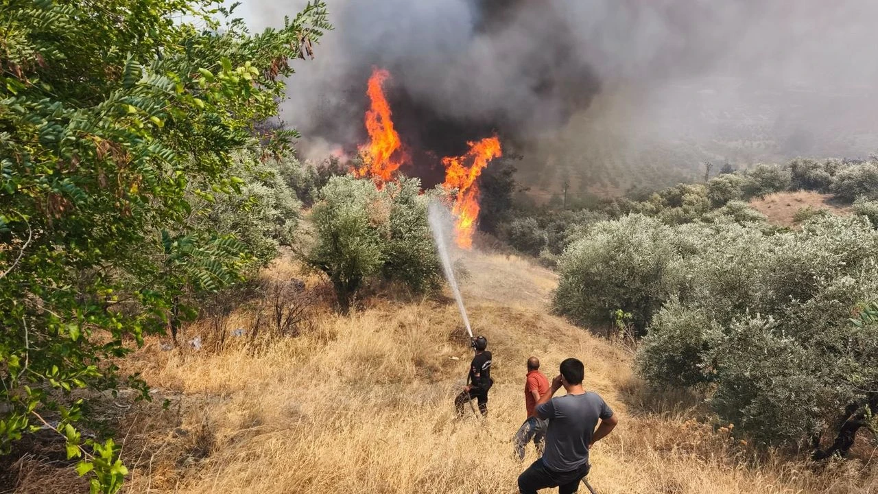 Orman gönüllülerine şehit statüsü