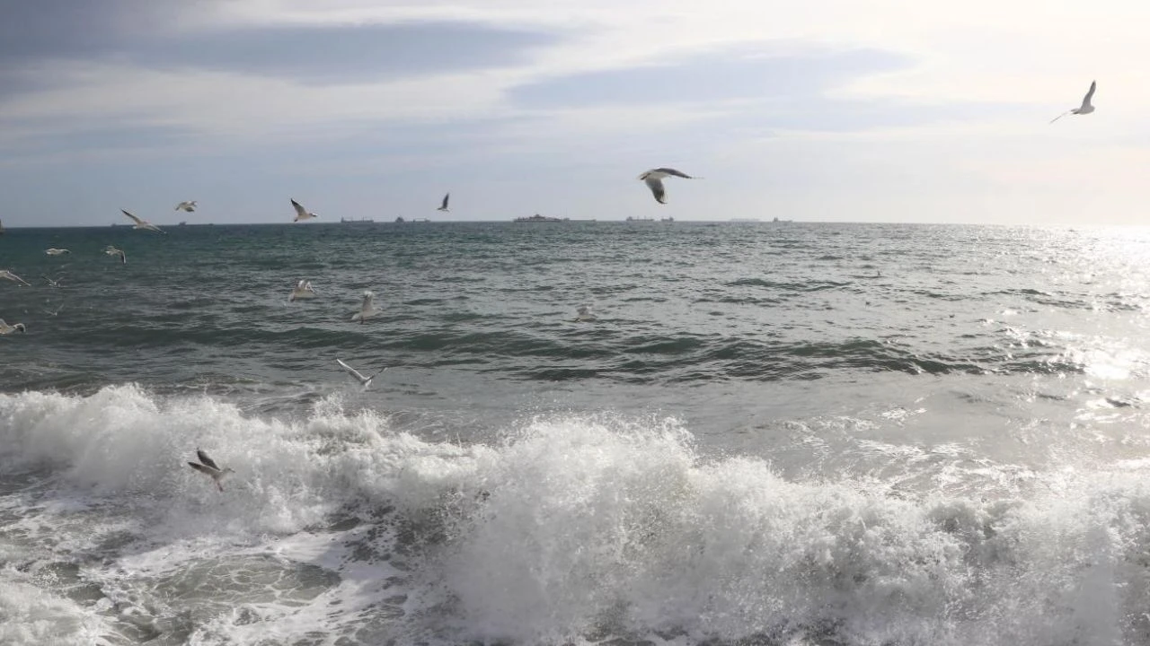 Marmara'da 1,6 milyon kişi iklim riski altında