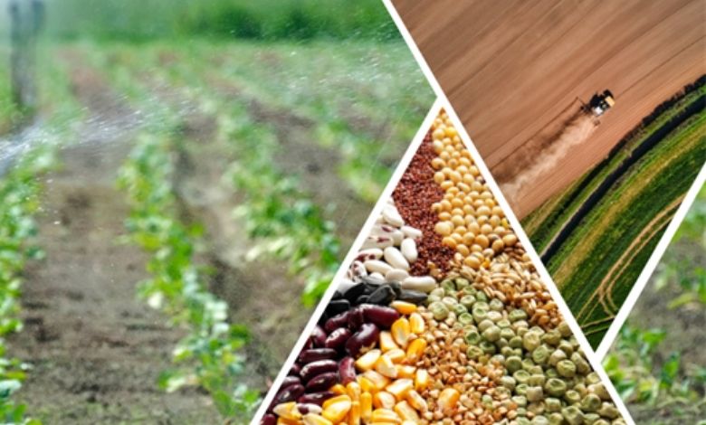 Tarımda yeni dönem destekleri açıklandı