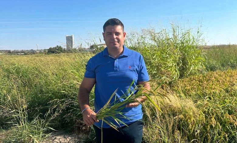 Ilgın'dan 'çeltik fiyatı' uyarısı