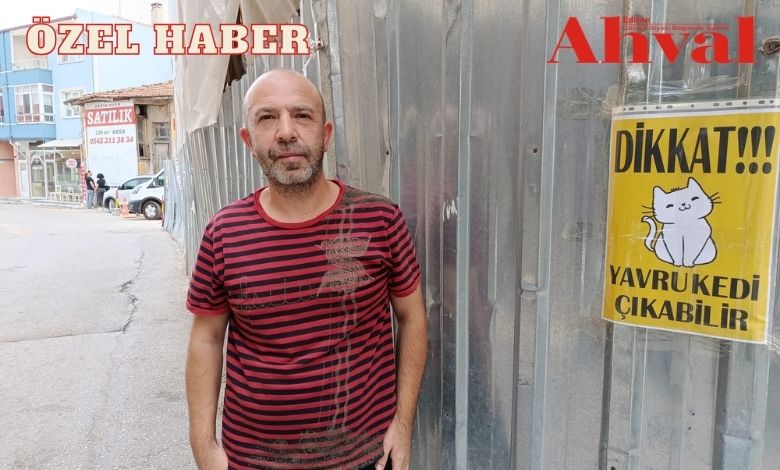 ‘Dikkat, yavru kedi çıkabilir!’